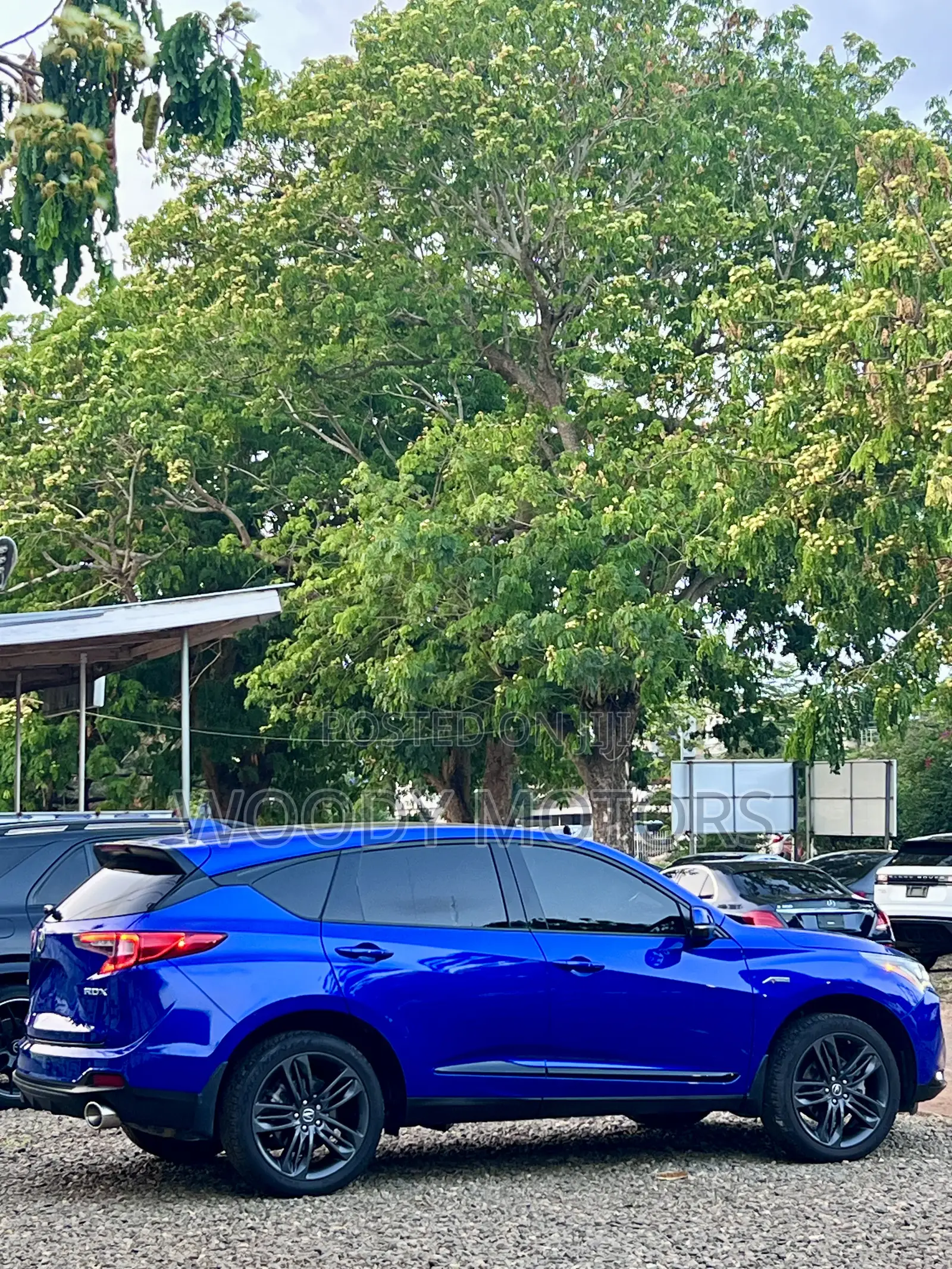 Acura RDX 2022 Blue