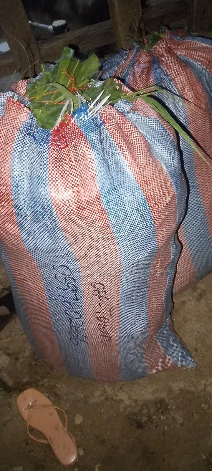Hay Grass for Rabbits, Grasscutter, Goat,Sheep,Cow Etc