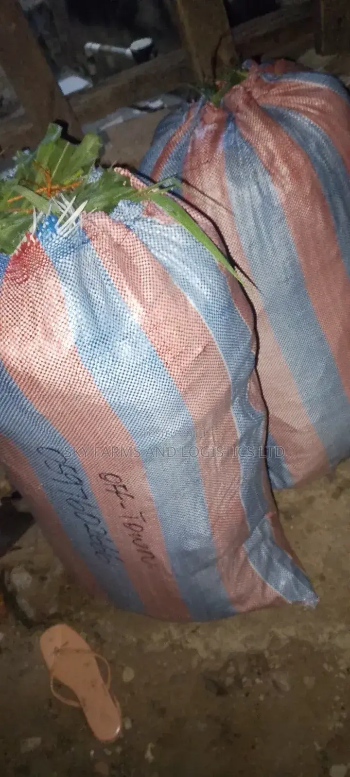 Hay Grass for Rabbits, Grasscutter, Goat,Sheep,Cow Etc