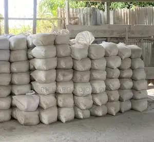 Powdered Oyster Shells