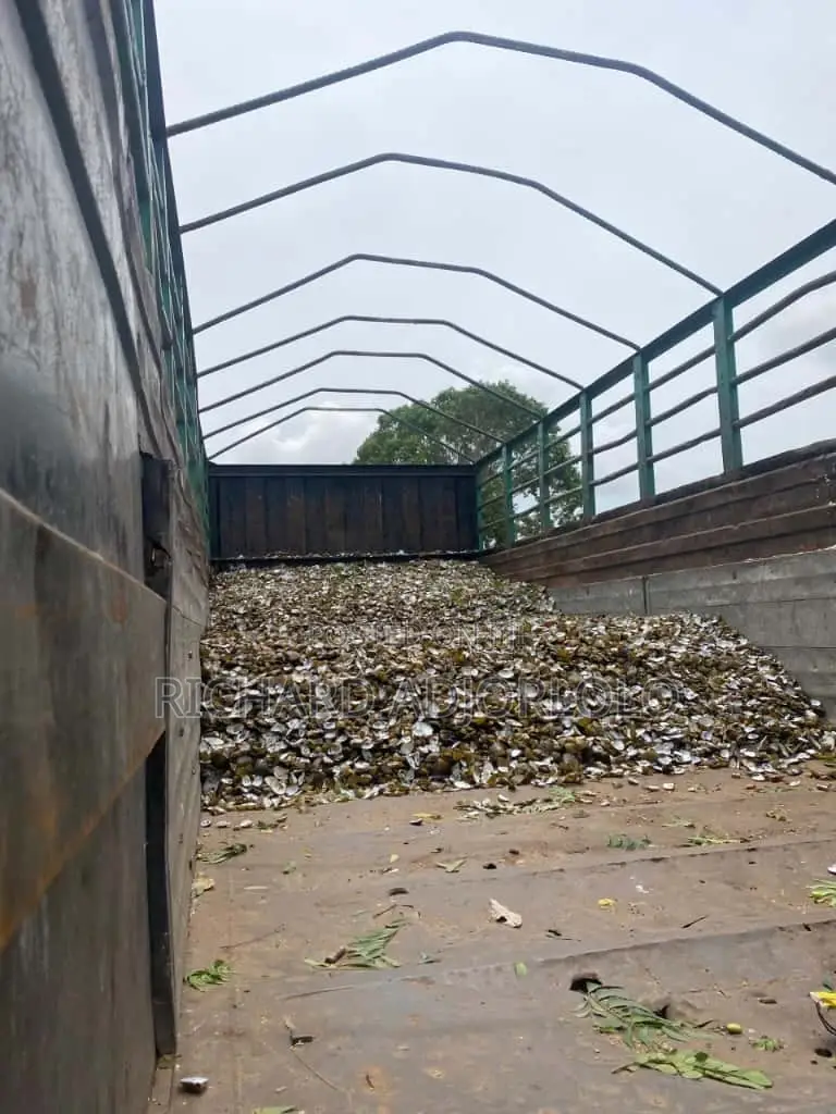 Powdered Oyster Shells