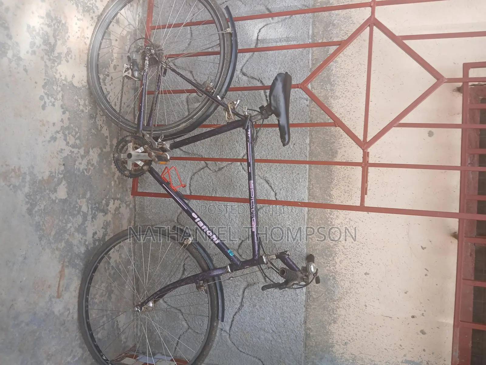 Purple Mountain Bike