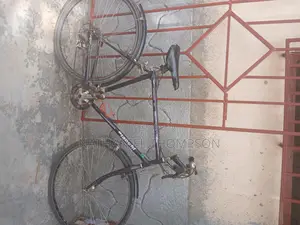Purple Mountain Bike