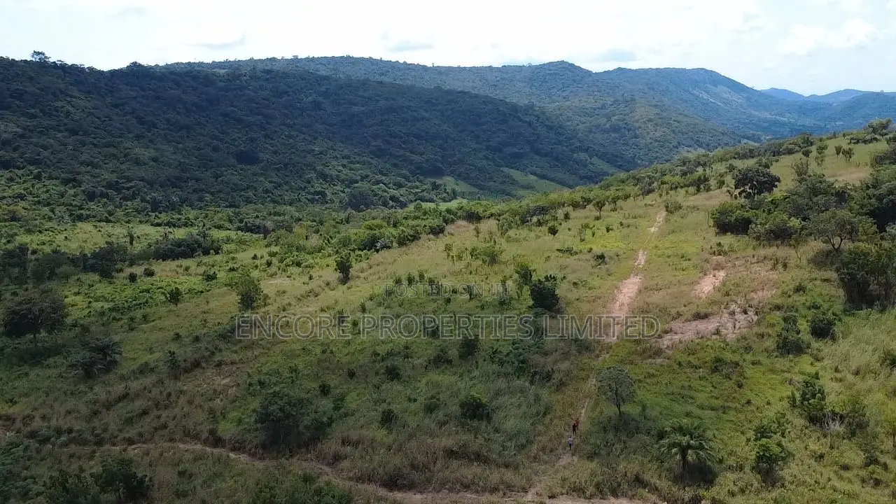 50 Acres of Estate Land Inside Akosombo