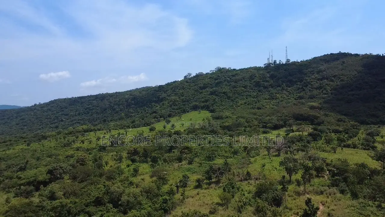 50 Acres of Estate Land Inside Akosombo