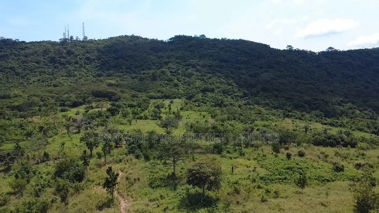 50 Acres of Estate Land Inside Akosombo