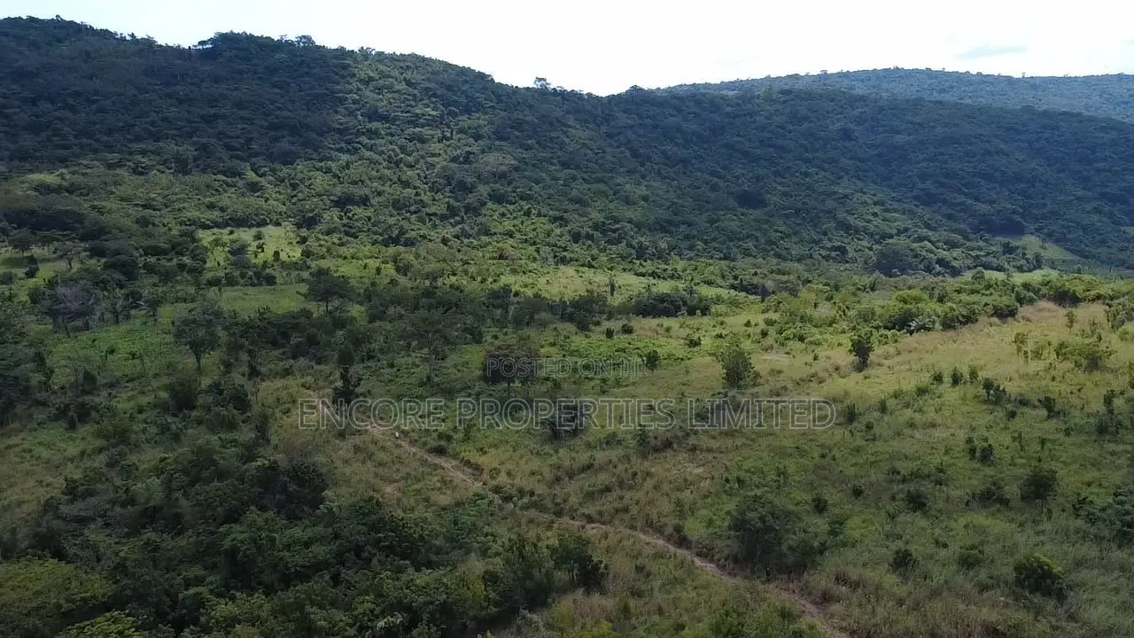 50 Acres of Estate Land Inside Akosombo