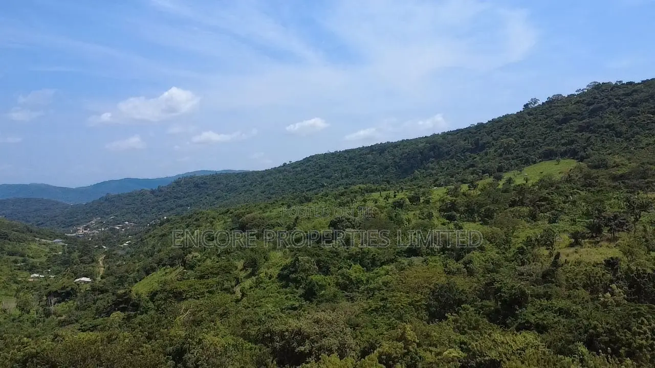 50 Acres of Estate Land Inside Akosombo