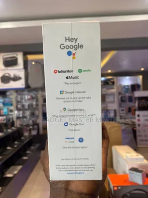Google Nest Mini