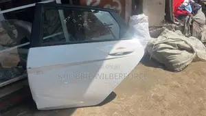 Elantra 2022 Door