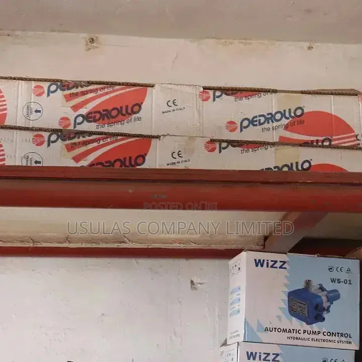 Pedrollo Borehole Pump
