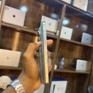 Apple iPhone 15 Pro Max 256 GB Silver