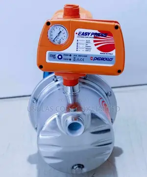 1.5hp Stainless Pedrollo Pump