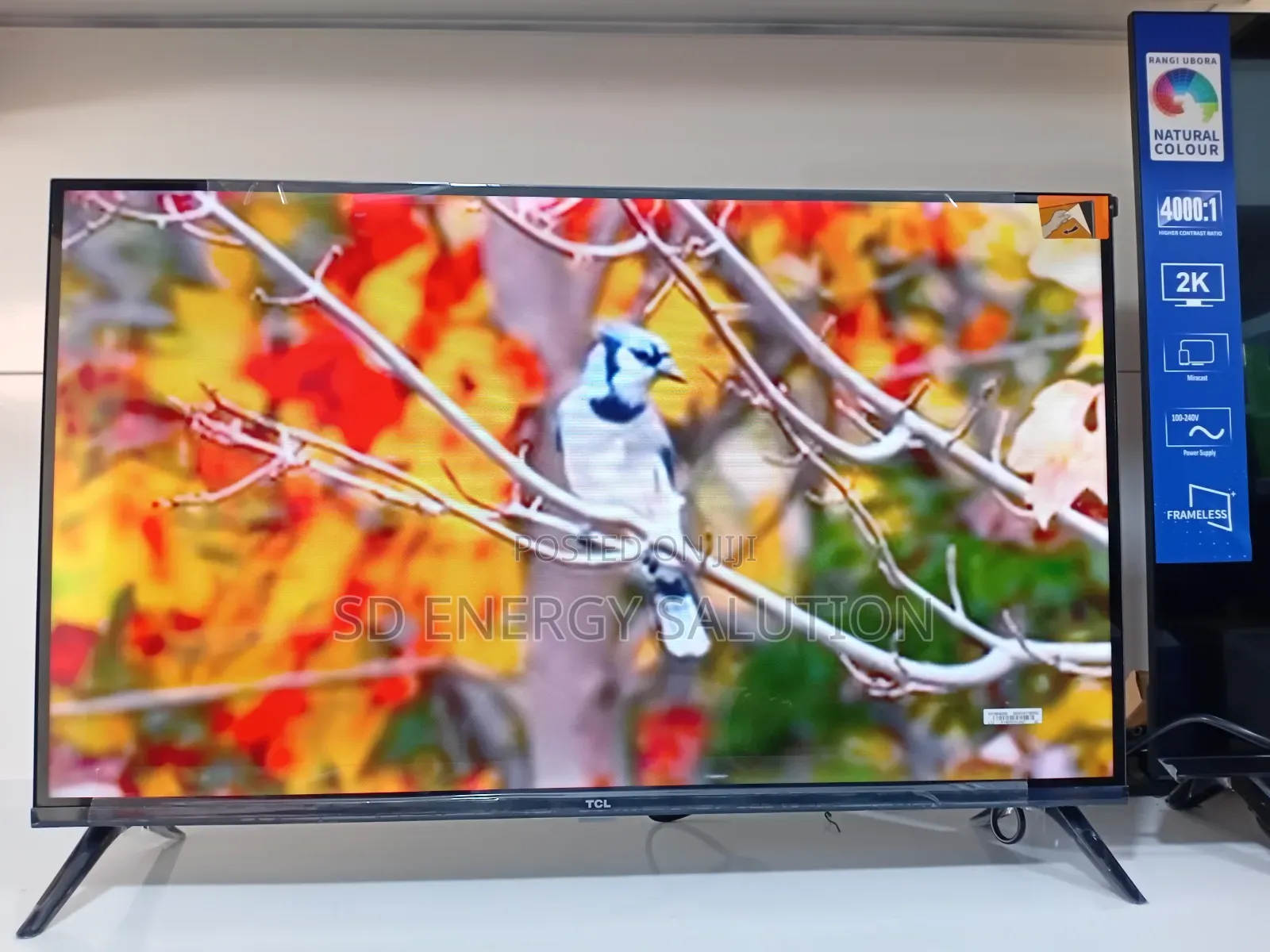 Smart 32" Android Tv Original TCL