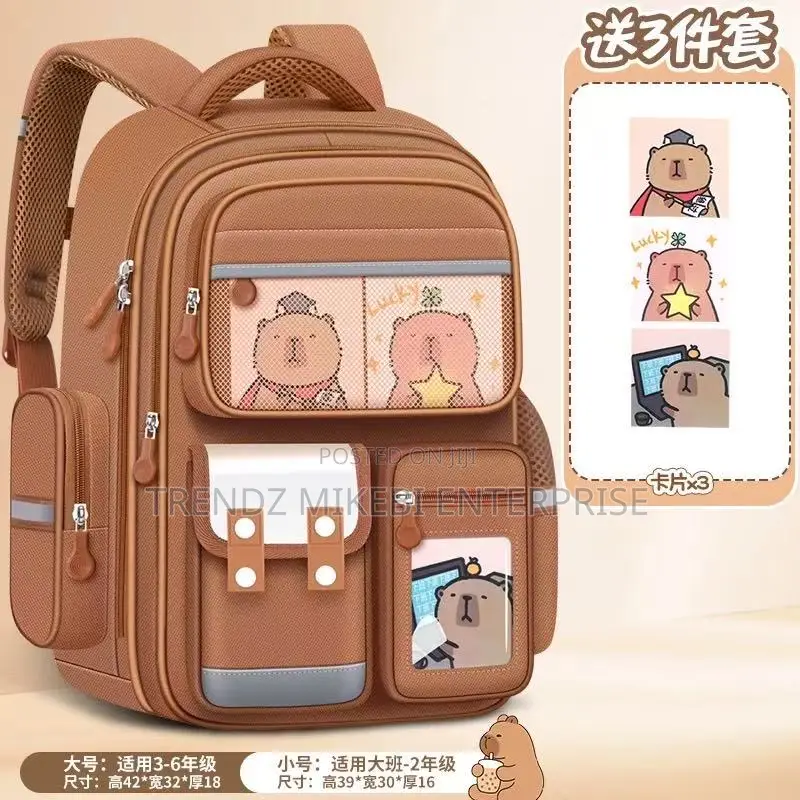 Laptop School Bags