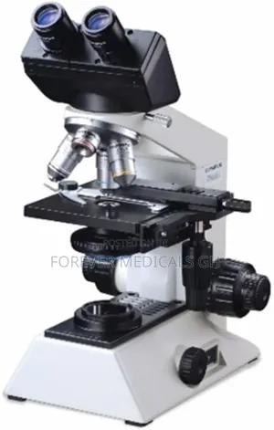 Microscope Olympus ( Ch )