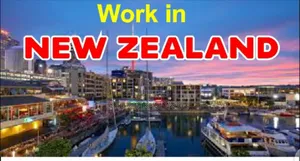 Work in New Zealand