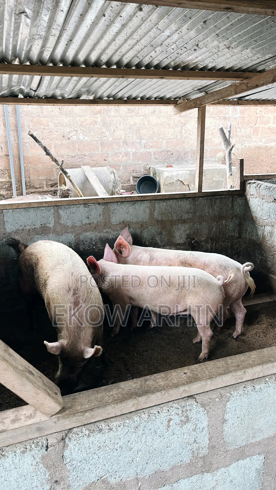 Pork Ghetto