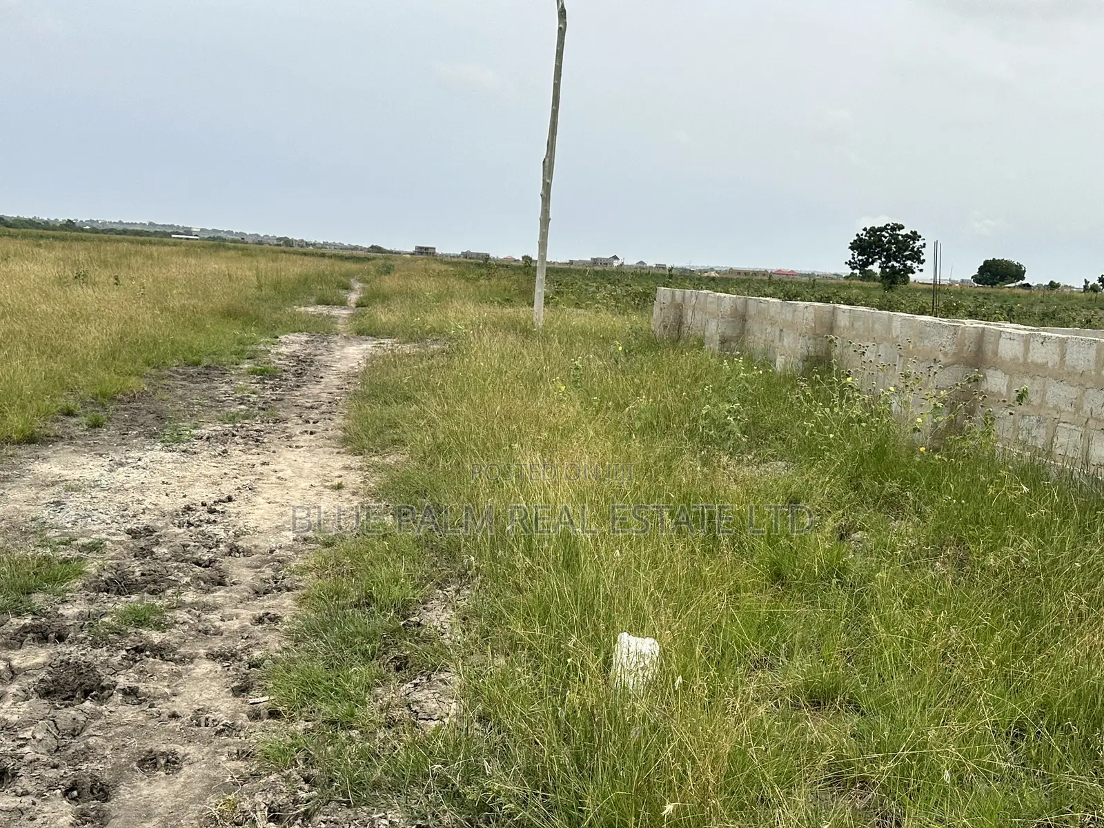 Budget-Friendly Plots for Sale in Dawhenya Buerko