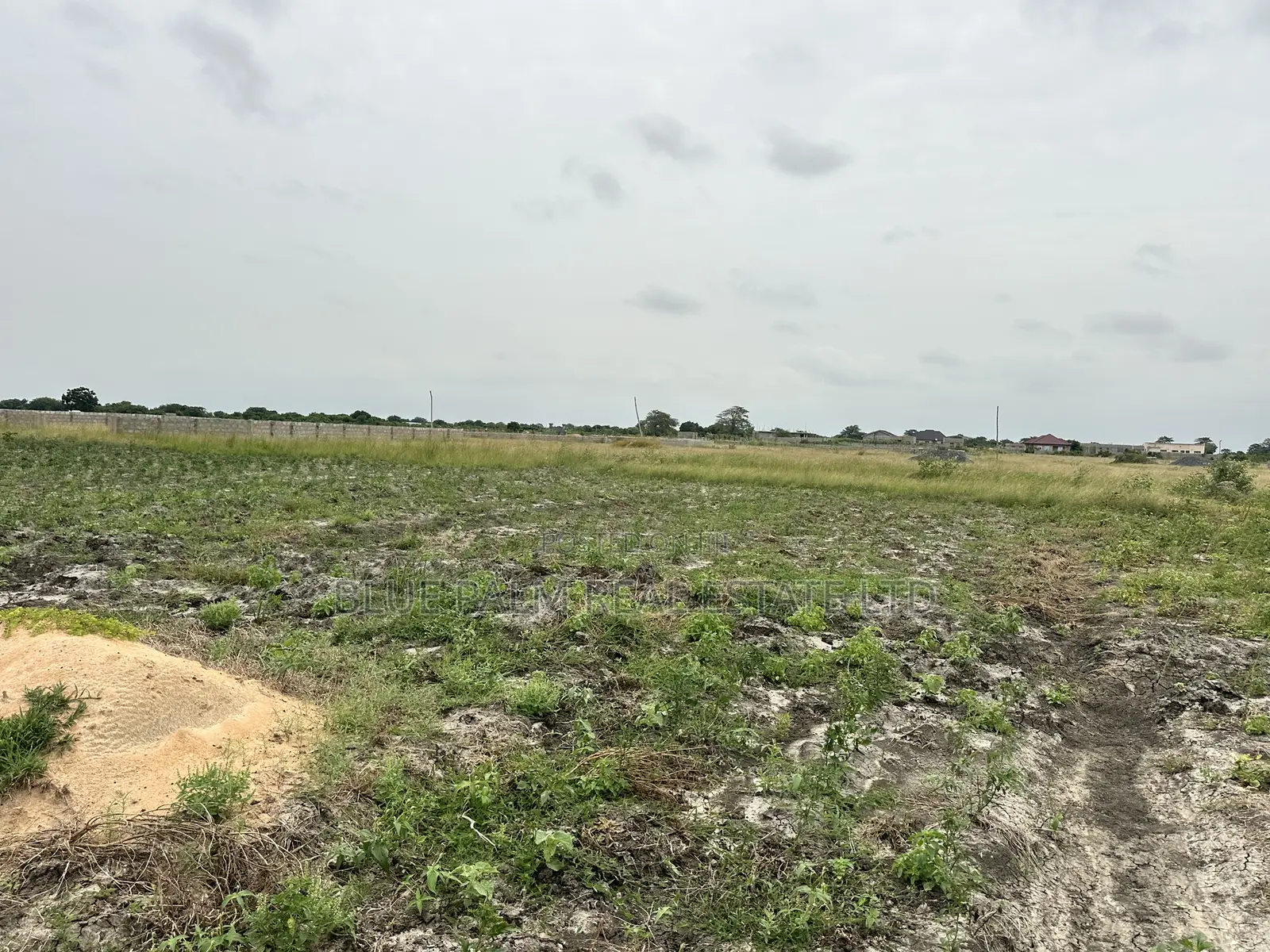 Your First Plot Starts Here—Dawhenya With Installment Options
