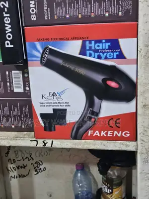 Handheld Hair Dryer