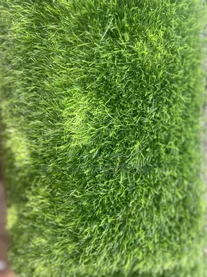 Grass Carpets