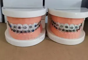 Fashion Braces