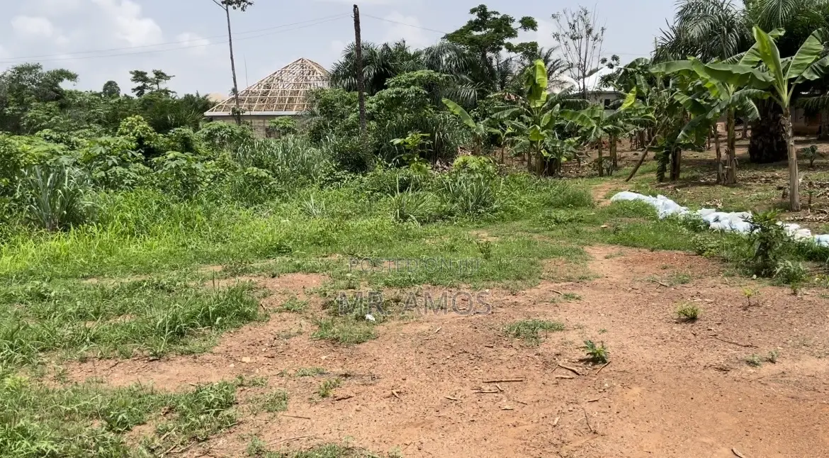Registered Plots of Land at Afienya Shai Hills(70x100)