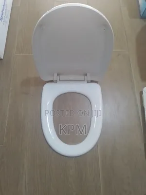 Unbreakable Big Tank Twyford Wc Toilet Seat Cover