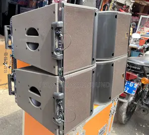 Kara 12inches Professional Line Array Speakers.