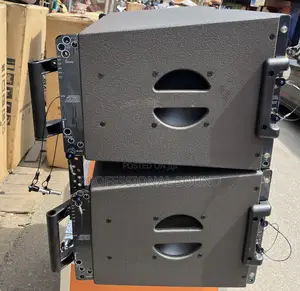 Kara 12inches Professional Line Array Speakers.