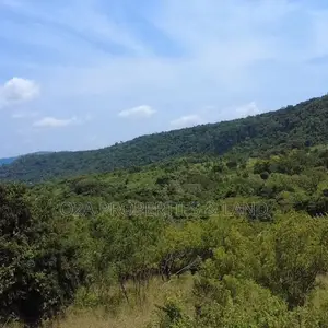 Executive 70×100 Ft Plot of Hill Land for Sale at Tema–Akosombo