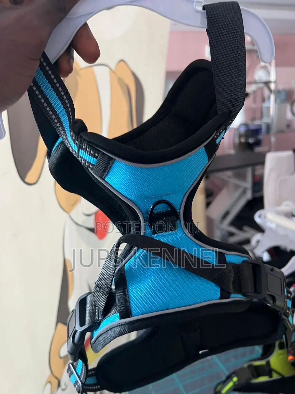 Dog Harness