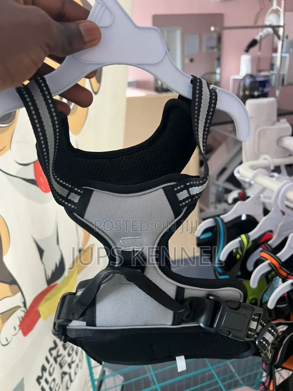 Dog Harness