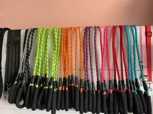 Dog Leashes
