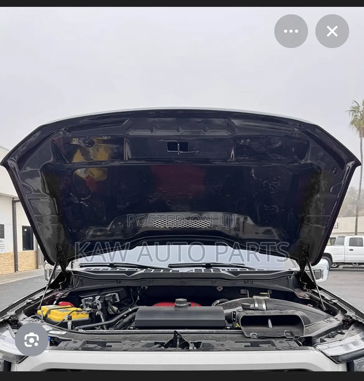 2021,2022,2023,2024 Aluminum Hood for Ford F150