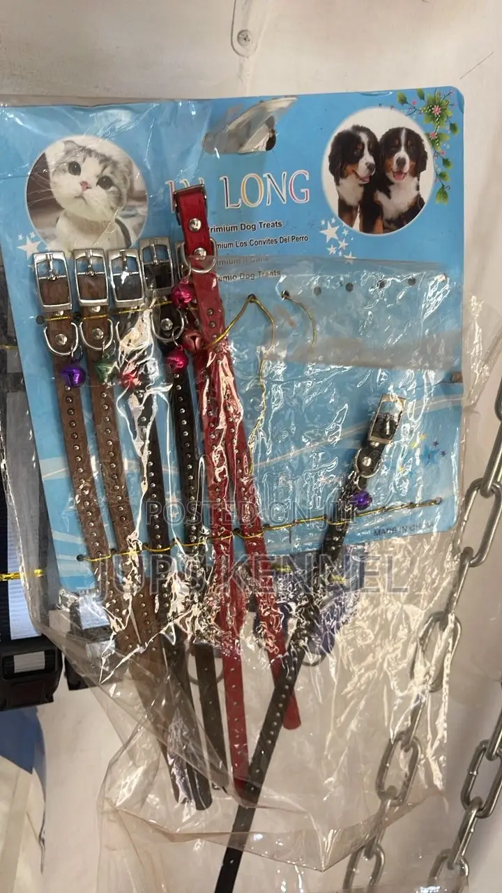 Cat and Dog Collar