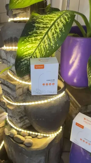 Quality Desk Lamps