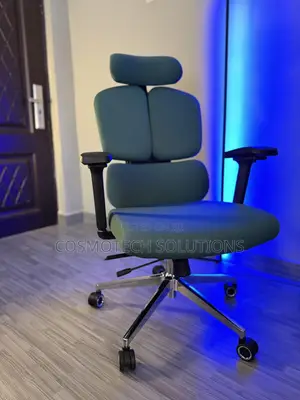 Premium Ergonomic Chair
