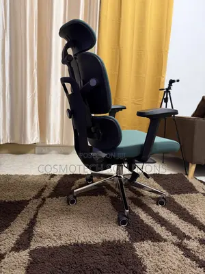 Premium Ergonomic Chair