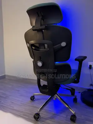 Premium Ergonomic Chair