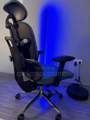 Premium Ergonomic Chair