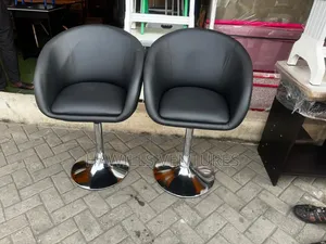 Adjustable Salon Chair
