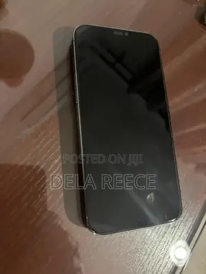 Apple iPhone 12 Pro Max 128 GB Gray