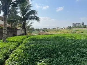 River Front East Legon 4 Min From Anc