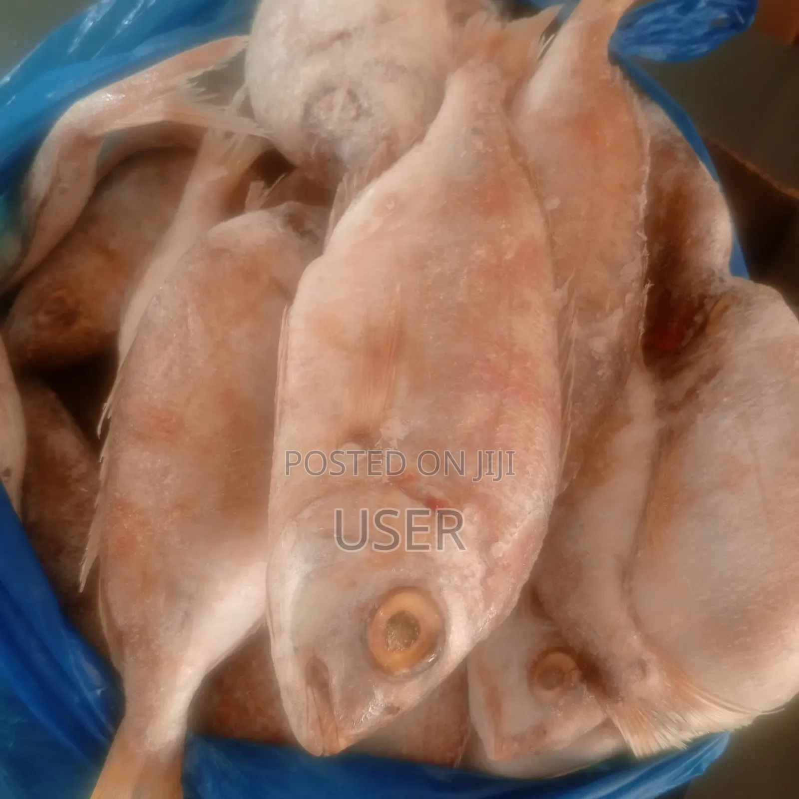 Red Fish 10kg Box