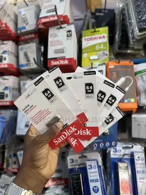 Sandisk 64gig Flash Drive