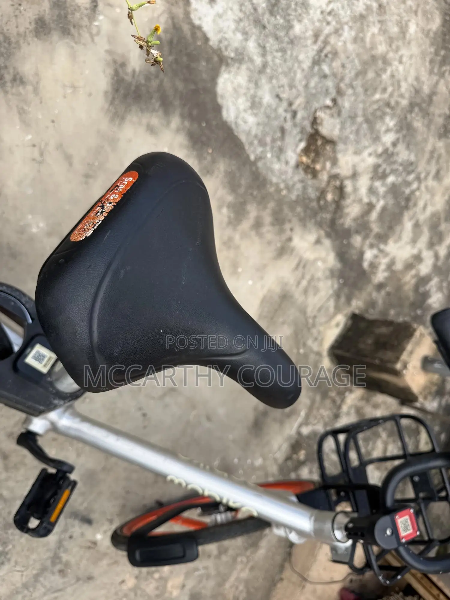 Bicycle Bike