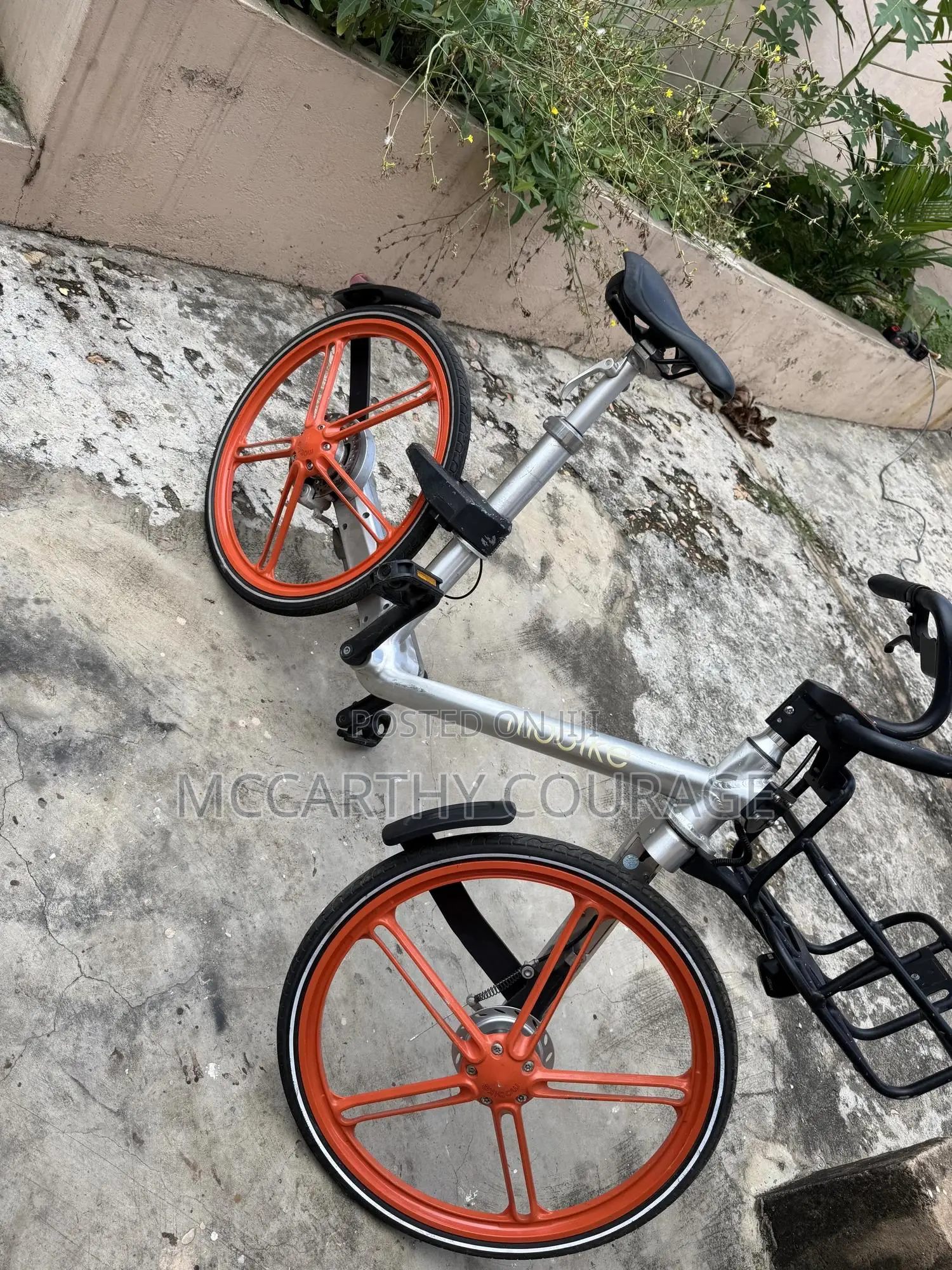 Bicycle Bike