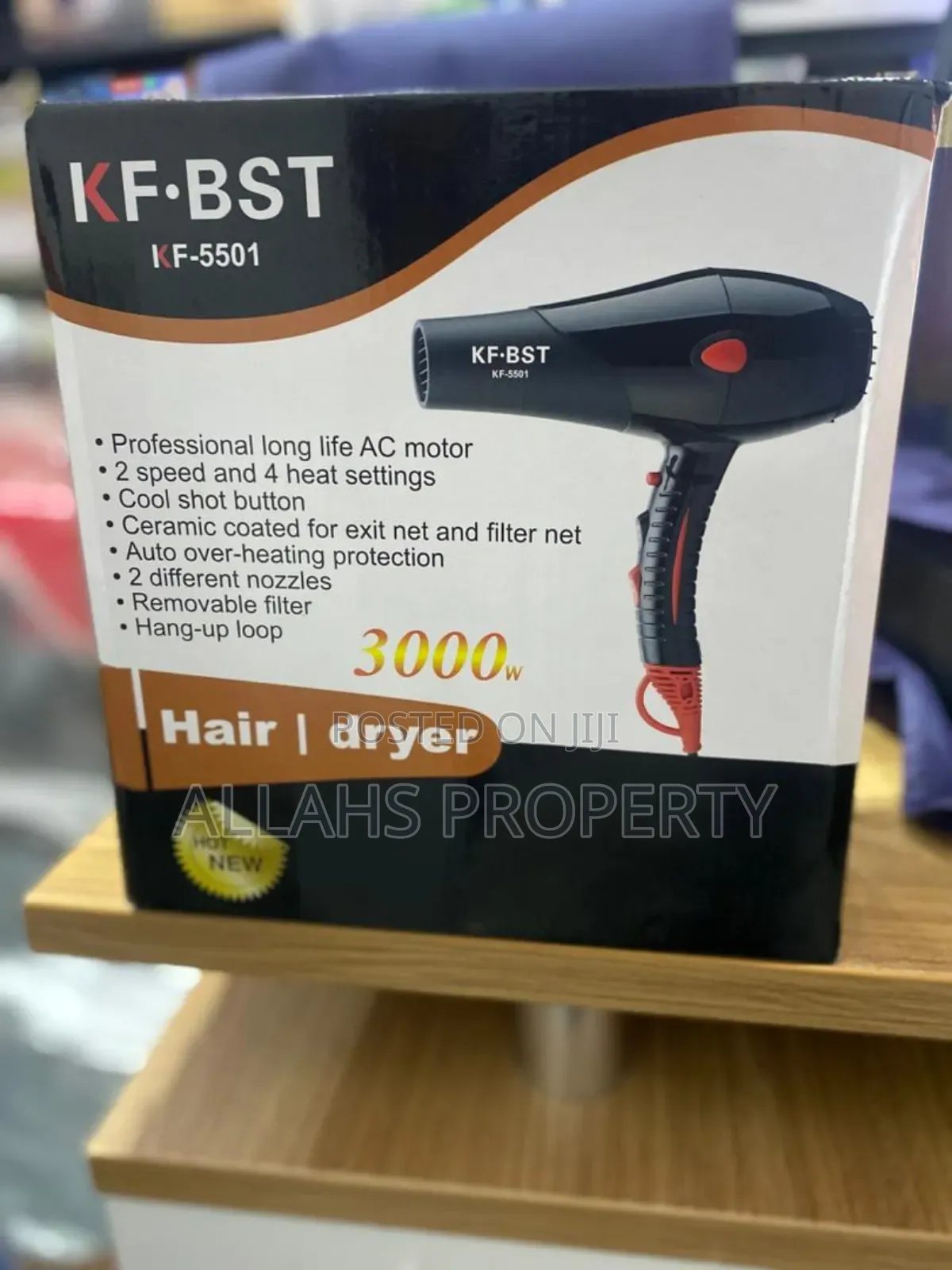 Professional Hair Dryer